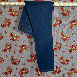 NWT Nordstrom STS Blue Emma Skinny Jeans Size 26